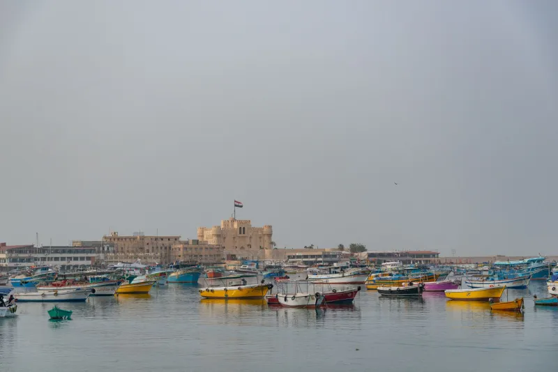 Roots in the Harbor: The Egyptian Merchant Dynasties Who Turned Port Said Into a Global Trade Powerhouse