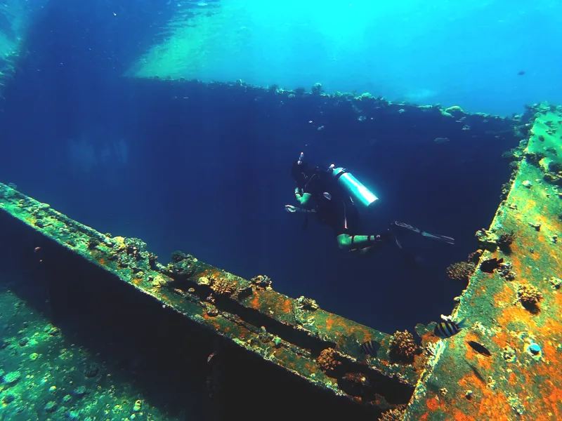 Diving Into History: The Archaeologists Racing to Save What Lies Beneath the Suez
